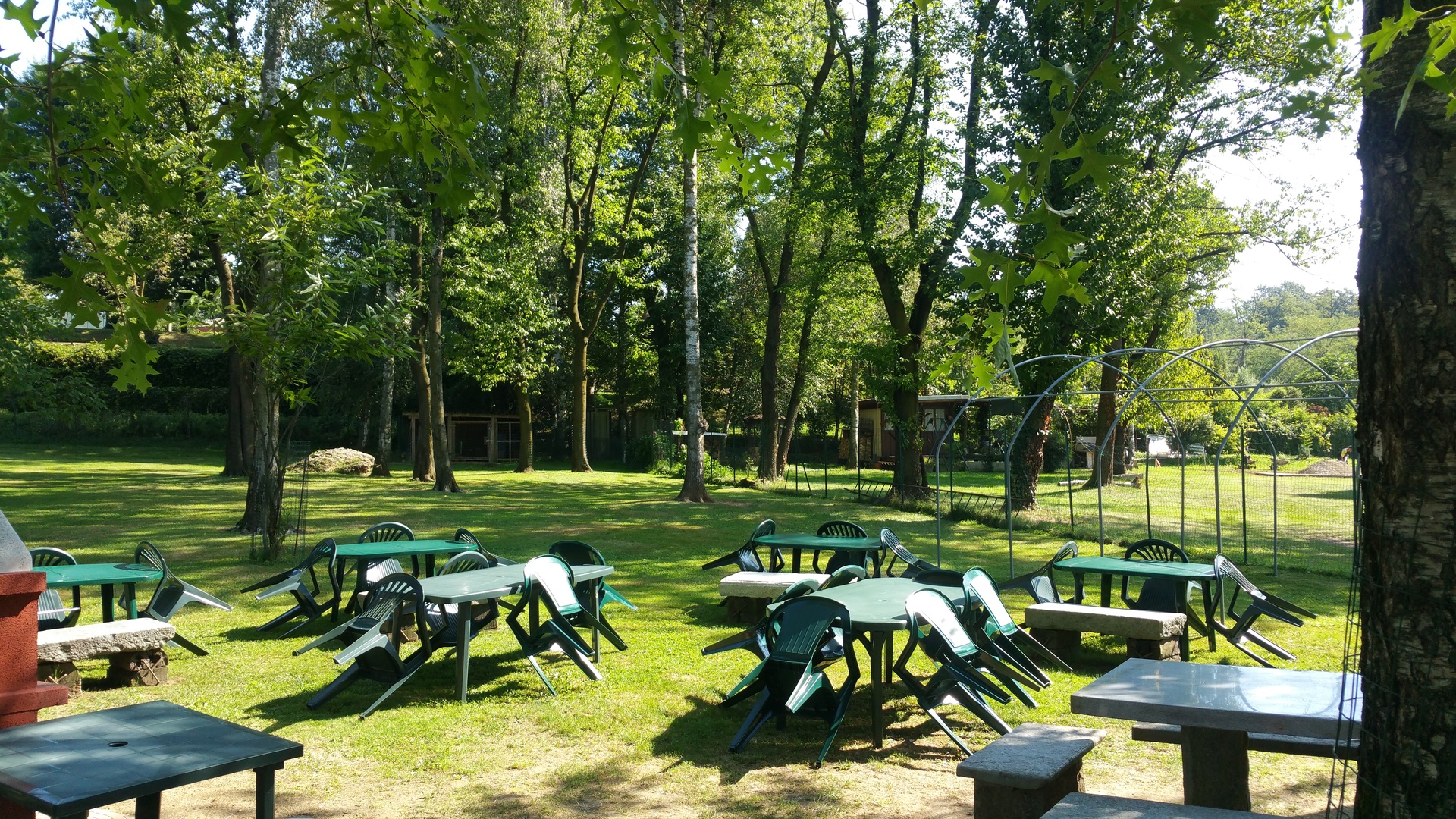 Il bosco di Harry